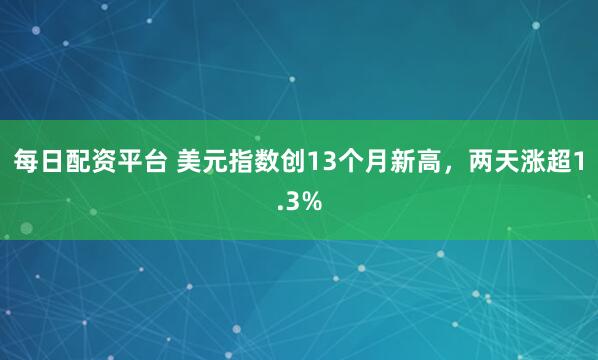 每日配资平台 美元指数创13个月新高，两天涨超1.3%